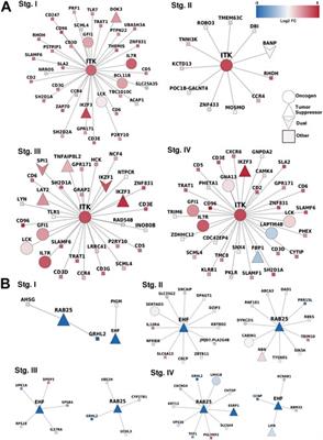 Methylation-related genes involved in renal carcinoma progression